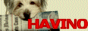 http://www.havino.net/